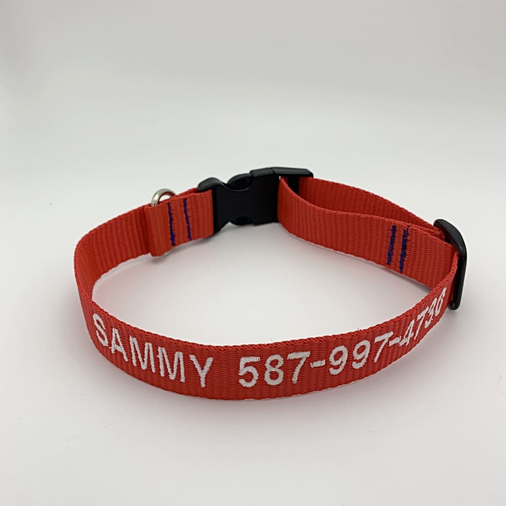Dog Collar 1 line of text - BigTags.  Tag It's your!