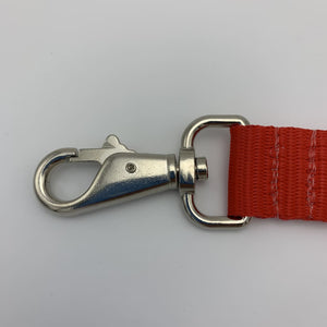 Dog Leash - BigTags.  Tag It's your!