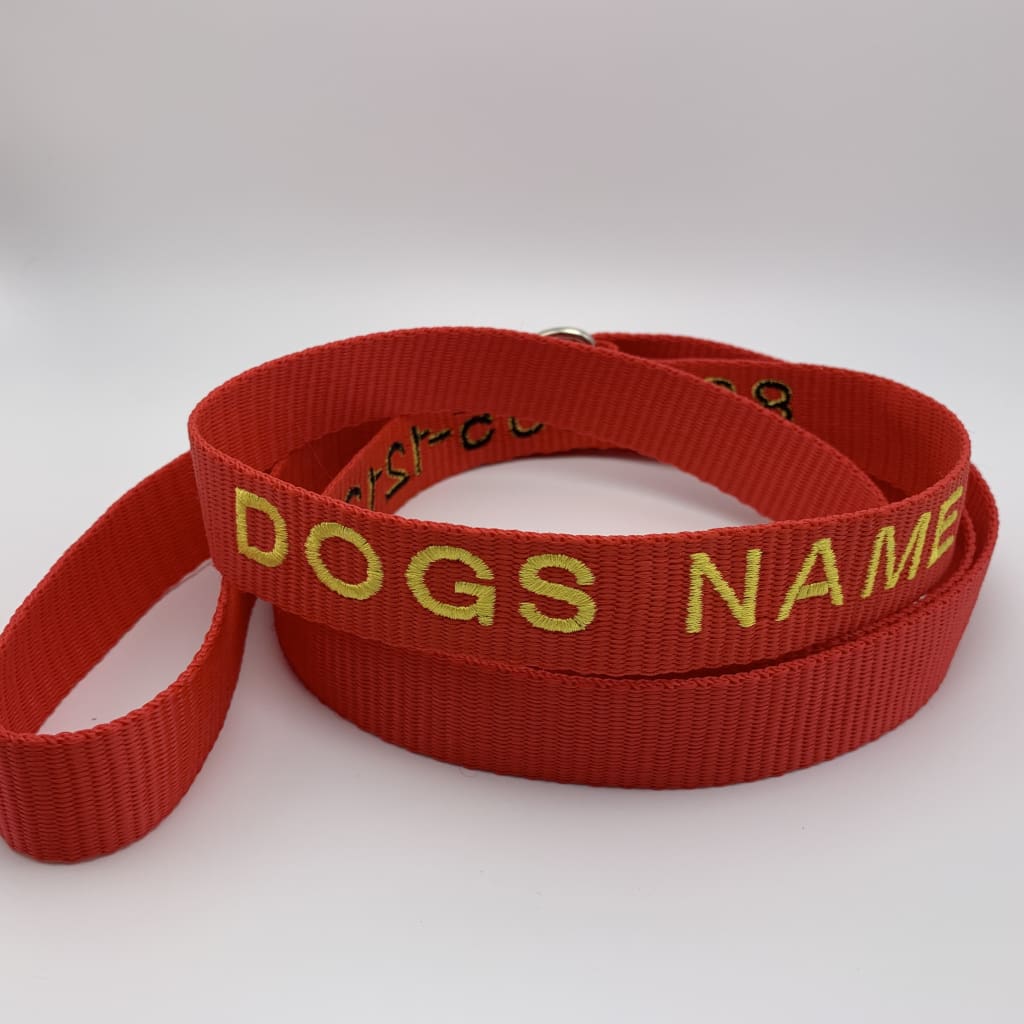 Dog Leash - BigTags.  Tag It's your!