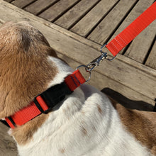 Load image into Gallery viewer, Dog Leash - BigTags.  Tag It&#39;s your!